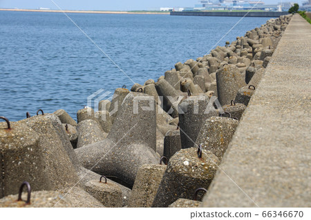 四腳 四腳 66346670