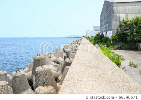 Tetrapod Tetrapod 66346671