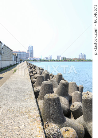 Tetrapod Tetrapod 66346673