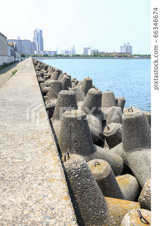 Tetrapod Tetrapod 66346674