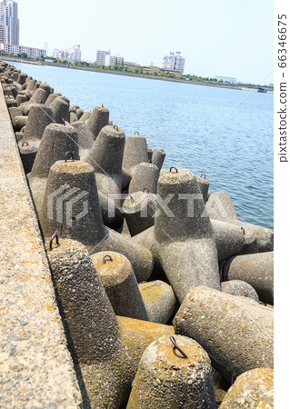 四腳 四腳 66346675