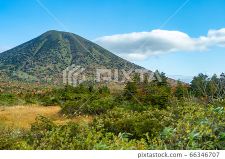 Hakkoda mountain forest scenery Hakkoda mountain forest scenery 66346707