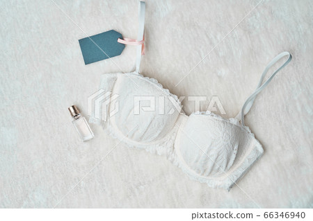 White female bra in underwear store. White female bra in underwear store. 66346940