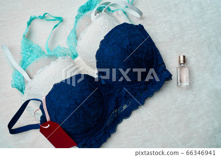 Variety of female bra in underwear store. Variety of female bra in underwear store. 66346941