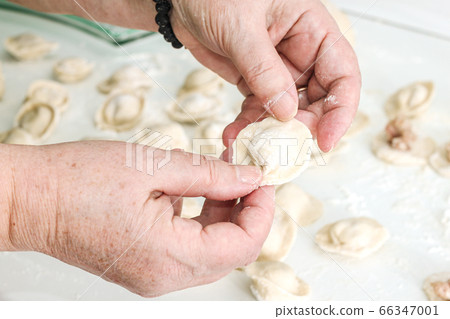 Homemade Cooking chinese Ravioli or dumplings 66347001