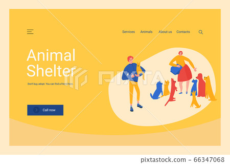 Animal shelter website ui layout template. Woman feeding dogs, man with cat in hands. Animal shelter website ui layout template. Woman feeding dogs, man with cat in hands. 66347068
