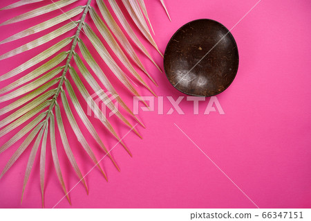 Decorative palm branch, coconut shell bowl on bright pink background. Travel, bodycare, cooking concept. Top view, flat lay, copy space Decorative palm branch, coconut shell bowl on bright pink background. Travel, bodycare, cooking concept. Top view, flat lay, copy space 66347151