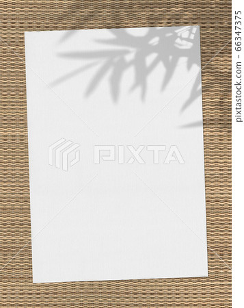 The shadow of a bamboo leaf is reflected on the white paper placed on the rush grass. 66347375