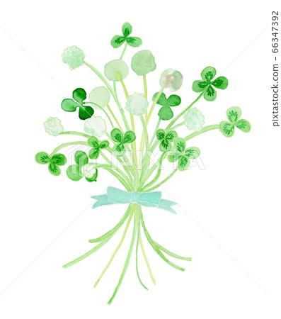 Bouquet of fluffy clover watercolor Bouquet of fluffy clover watercolor 66347392