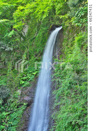 [Yoro Falls]岐阜縣Yoro區Yoro鎮高林 66347431