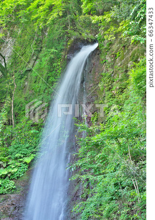 [Yoro Falls]岐阜縣Yoro區Yoro鎮高林 66347433