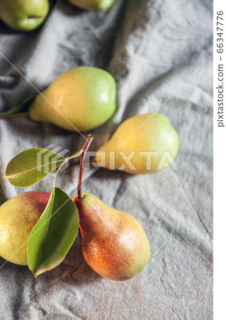 Ripe pears are scattered on a plain linen tablecloth. Simple village life and food. Top view, copy Ripe pears are scattered on a plain linen tablecloth. Simple village life and food. Top view, copy 66347776