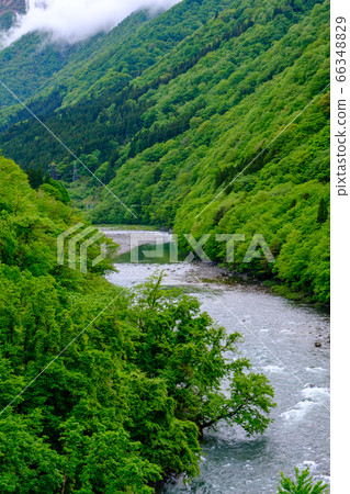 Gifu/Fresh green/Fog over the Jinzu River (Kogen River) Gifu/Fresh green/Fog over the Jinzu River (Kogen River) 66348829