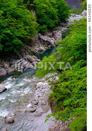 Gifu/Fresh green/Fog over the Jinzu River (Kogen River) 66348830