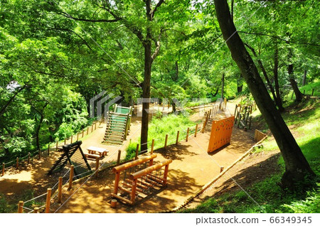 Kanagawa Prefectural Nanasawa Forest Park Wanpaku no Mori Athletic playground and fresh greenery 66349345
