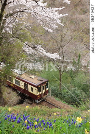 渡瀨峽鐵路“春天的花朵盛開的山景” 66349427