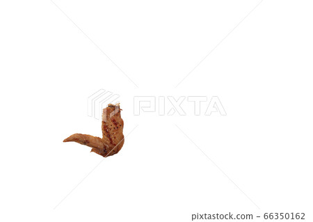 Yakitori chicken wings salt image Yakitori chicken wings salt image 66350162