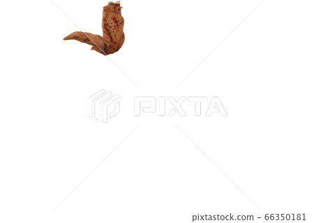 Yakitori chicken wings salt image Yakitori chicken wings salt image 66350181
