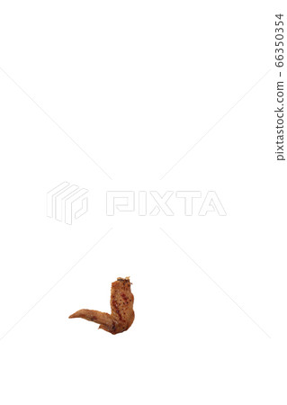 Yakitori chicken wings salt image Yakitori chicken wings salt image 66350354