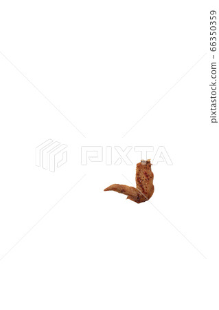 Yakitori chicken wings salt image Yakitori chicken wings salt image 66350359