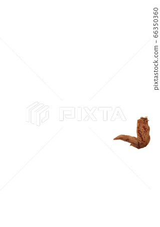 Yakitori chicken wings salt image Yakitori chicken wings salt image 66350360