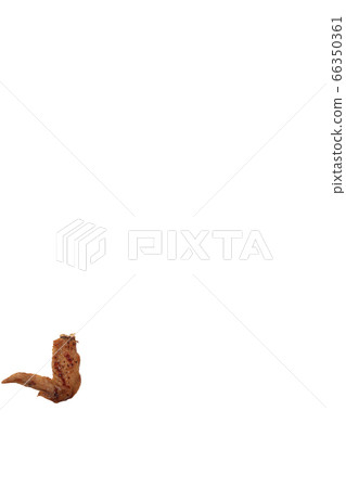 Yakitori chicken wings salt image Yakitori chicken wings salt image 66350361