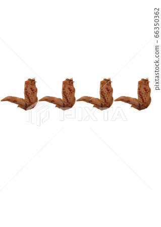 Yakitori chicken wings salt image Yakitori chicken wings salt image 66350362