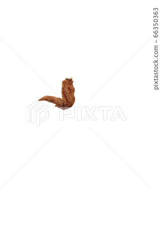 Yakitori chicken wings salt image Yakitori chicken wings salt image 66350363