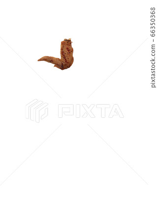 Yakitori chicken wings salt image Yakitori chicken wings salt image 66350368
