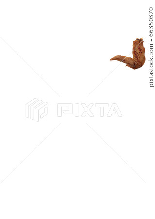 Yakitori chicken wings salt image Yakitori chicken wings salt image 66350370