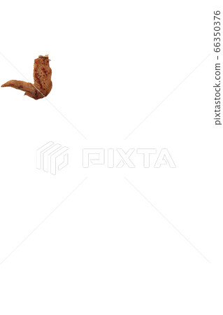 Yakitori chicken wings salt image Yakitori chicken wings salt image 66350376