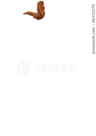 Yakitori chicken wings salt image Yakitori chicken wings salt image 66350379