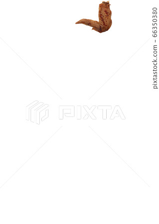 Yakitori chicken wings salt image Yakitori chicken wings salt image 66350380