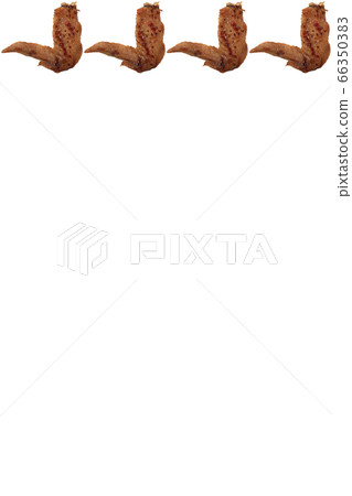 Yakitori chicken wings salt image Yakitori chicken wings salt image 66350383