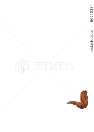 Yakitori chicken wings salt image Yakitori chicken wings salt image 66350384