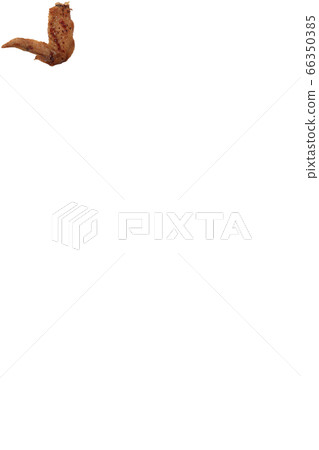 Yakitori chicken wings salt image Yakitori chicken wings salt image 66350385
