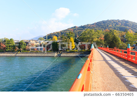 宇治川朝霧大橋與秋色 66350405