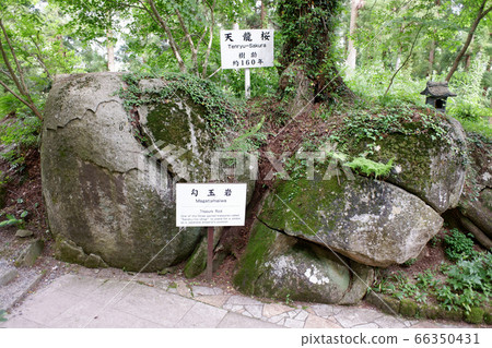 福島一丁目小垣神社 66350431