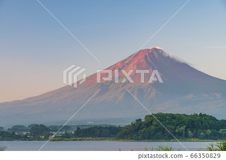 (山梨縣)富士山大石公園,夏天的早晨 (山梨縣)富士山大石公園,夏天的早晨 66350829