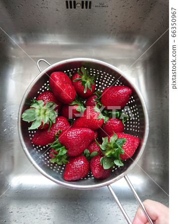 Washed ripe juicy red strawberries in mesh Washed ripe juicy red strawberries in mesh 66350967