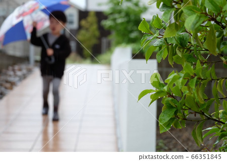 A boy popping an umbrella 66351845