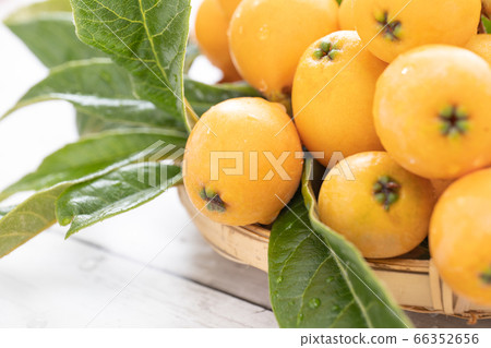 Close up of loquat harvested at home 66352656