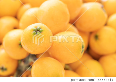 Close up of loquat harvested at home 66352715