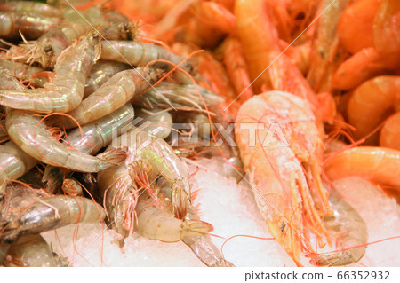 Fresh Shrimp seafood on ice Fresh Shrimp seafood on ice 66352932