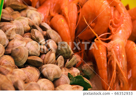Vongole seashells shrimps background Vongole seashells shrimps background 66352933