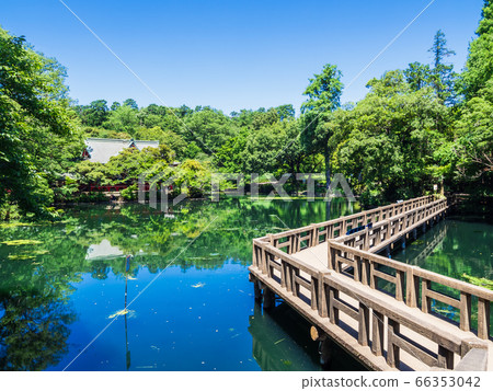 東京井之頭公園Benzaten和Bentenbashi 東京井之頭公園Benzaten和Bentenbashi 66353042