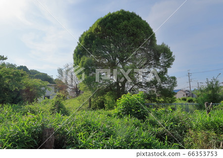 古一墳墓 66353753