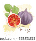 Ripe purple figs, leaf isolated. Fresh fruit icon 66353833