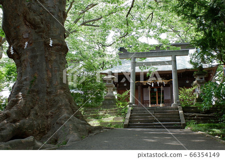 Fukushima Koriyama Atago Shrine Fukushima Koriyama Atago Shrine 66354149