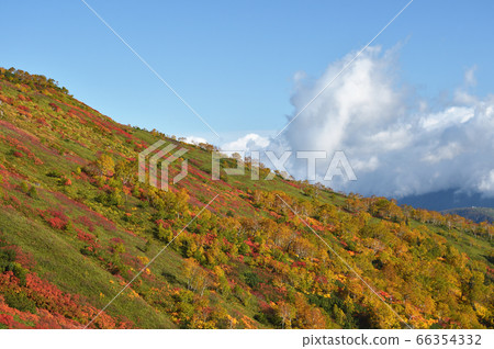 Autumn leaves of Ginsendai (Hokkaido, Kamikawa Town, Daisetsuzan) 66354332